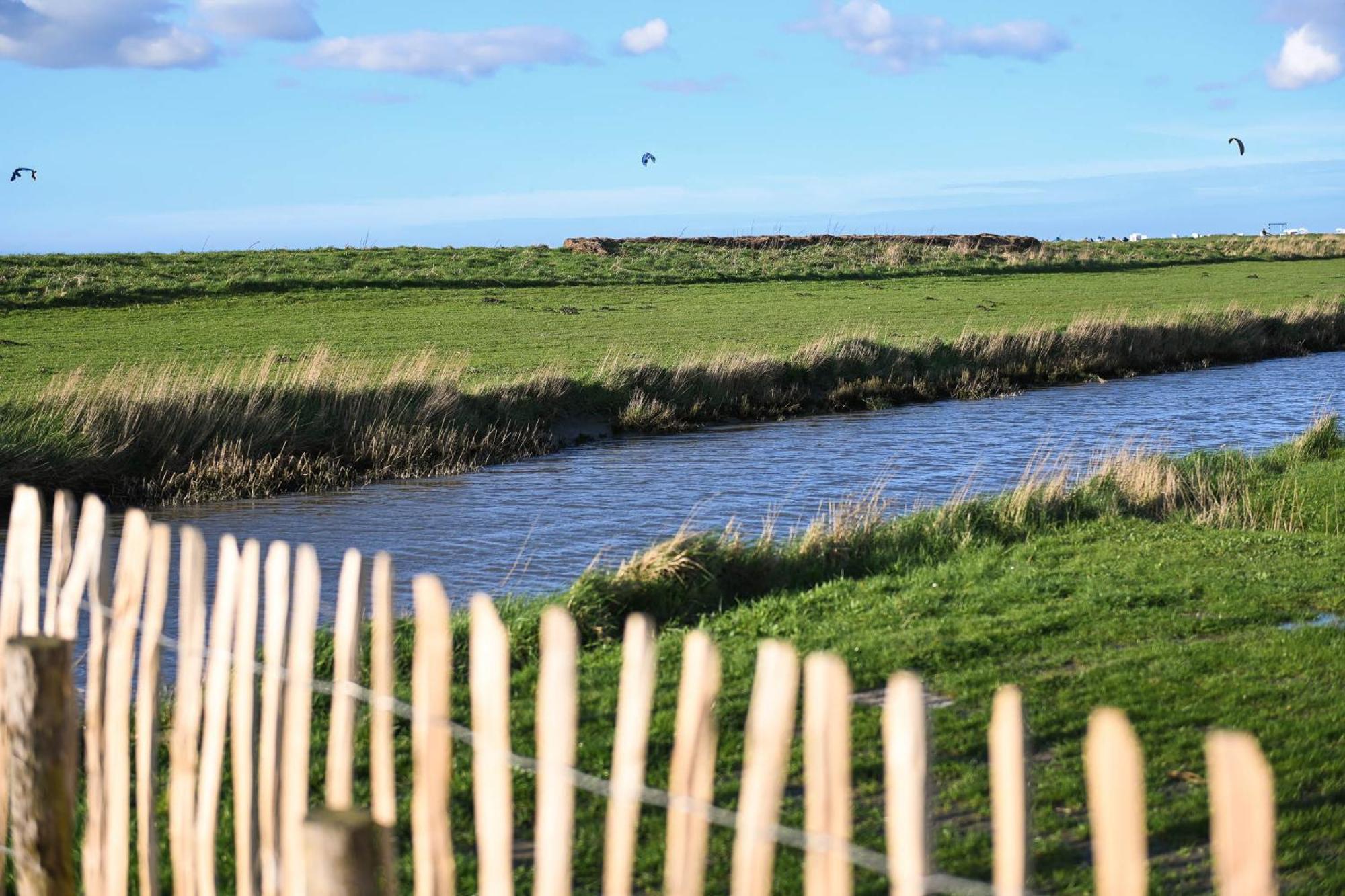 Tiny House Nature 15 Zur Meerseite - Green Tiny Village Harlesiel Carolinensiel Esterno foto
